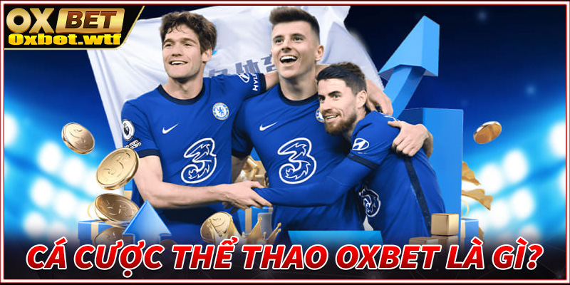 Sảnh cá cược thể thao Oxbet là gì?