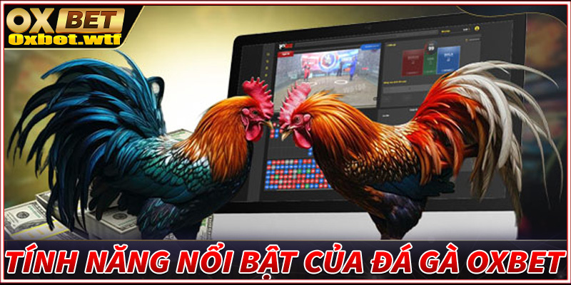 Những thế mạnh tạo lên sức hấp dẫn của sàn đá gà Oxbet 