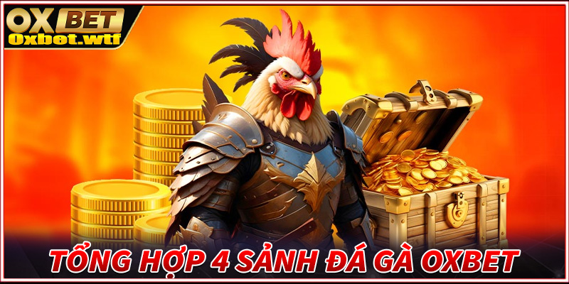 Tổng hợp 4 sảnh đặt cược đá gà Oxbet hấp dẫn nhất hiện nay 